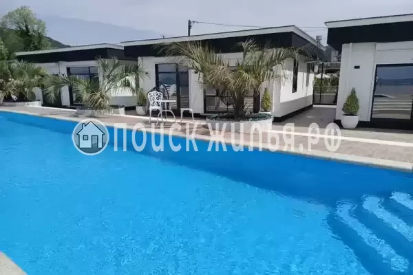 «Черный кот», Головинка