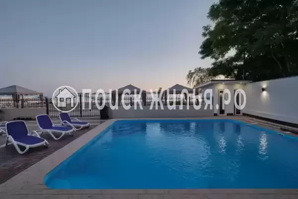 «Черный кот», Головинка