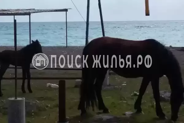 Дом под ключ «На Приморской», Цандрипш