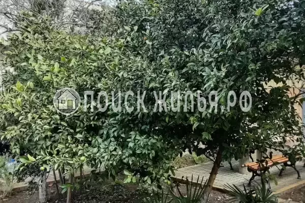 Дом под ключ «На Приморской», Цандрипш