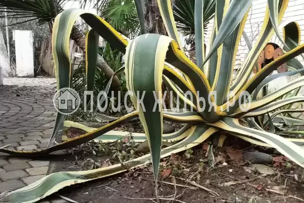 Дом под ключ «На Приморской», Цандрипш