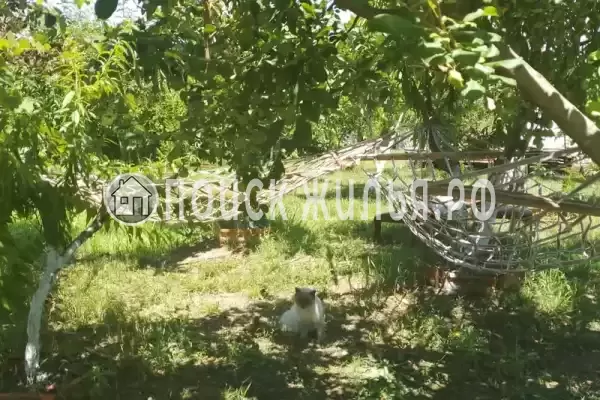 Частный сектор «У Отара», Сухум Частный сектор «У Отара», Сухум