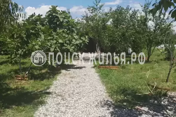 Частный сектор «У Отара», Сухум Частный сектор «У Отара», Сухум