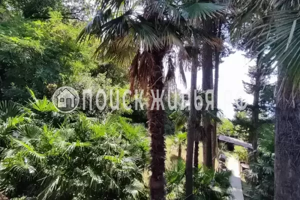 Дом под ключ «У моря», Волконка