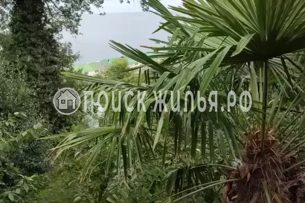 Дом под ключ «У моря», Волконка