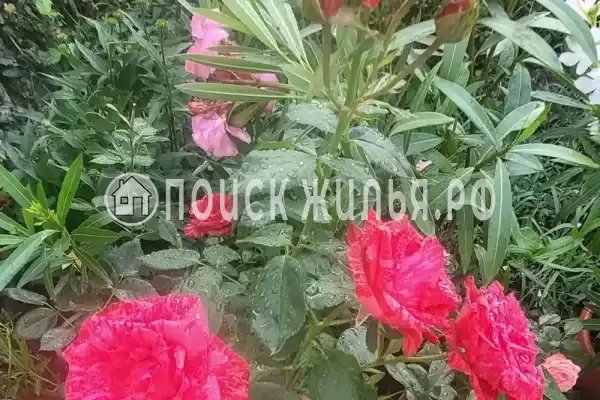 Дом под ключ «Криница», Бетта Дом под ключ «Криница», Бетта