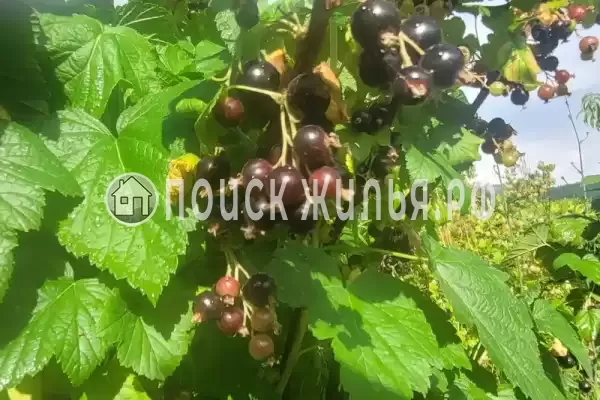 Дом под ключ «Криница», Бетта Дом под ключ «Криница», Бетта