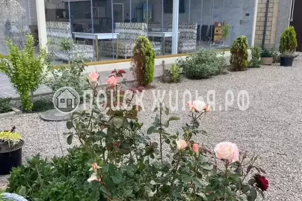 Отель «Султан», Николаевка