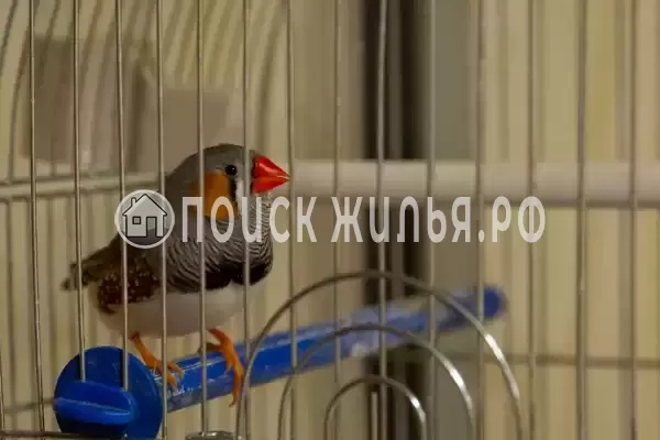 Хостел «1 ПОЛЯНЫ», Москва