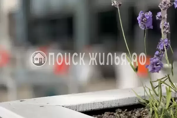 Гостевой дом «Агрия-Джем 213 Б», Джемете Гостевой дом «Агрия-Джем 213 Б», Джемете