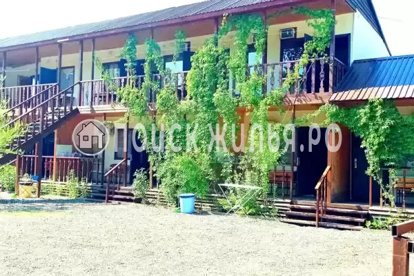 «Надежда», Шепси