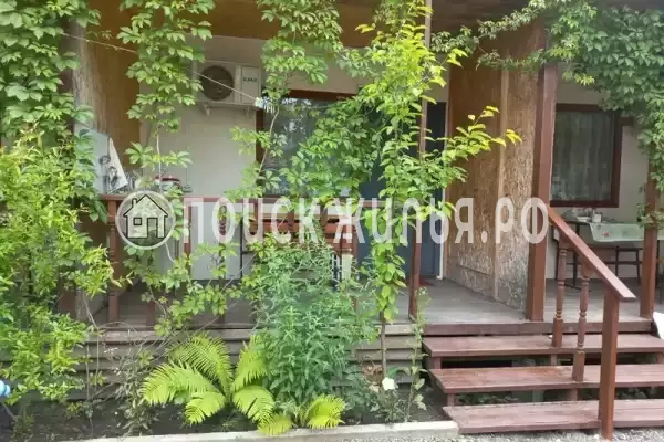 «Надежда», Шепси