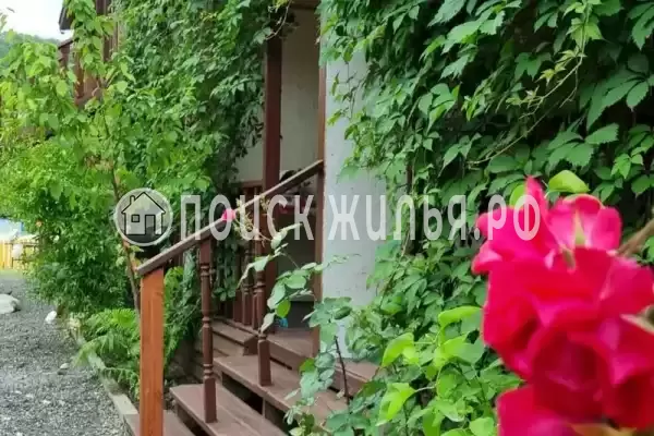 «Надежда», Шепси