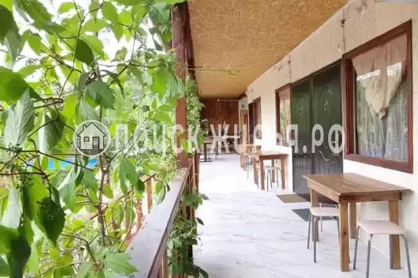 «Надежда», Шепси