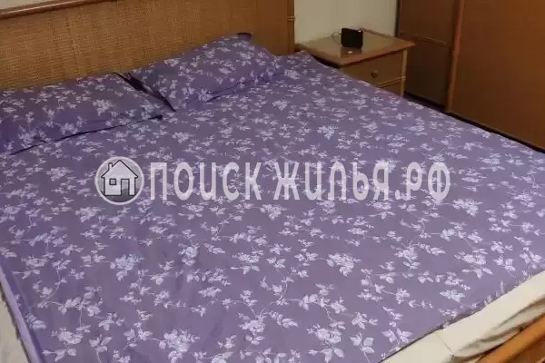 «Пилот Домодедово», Горки Ленинские