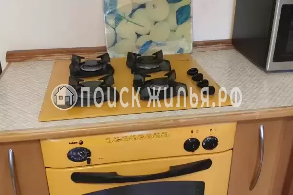 «Пилот Домодедово», Горки Ленинские