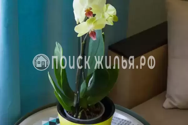 Отель «Salstory», Нижний Новгород