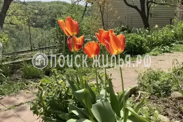 Дом под ключ «У моря», Туапсе Дом под ключ «У моря», Туапсе