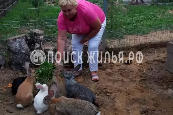 Отель «Астра», Ярославль