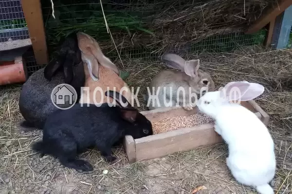 Отель «Астра», Ярославль