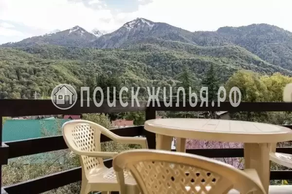 ««Зима Лето»», Красная Поляна ««Зима Лето»», Красная Поляна