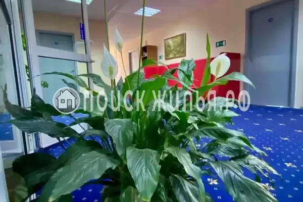 Отель «Киевская», Нягань