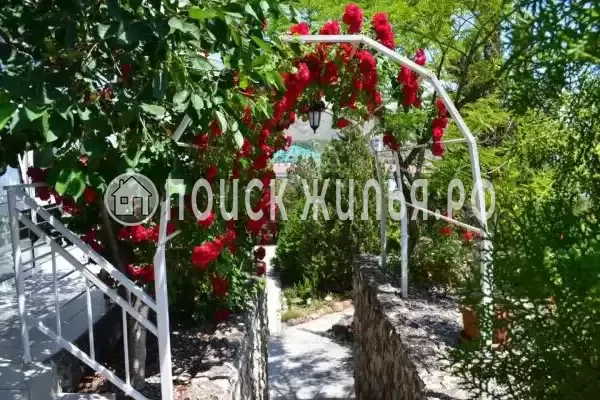 Отель «Оздоровительный Комплекс Лазурный», Коктебель