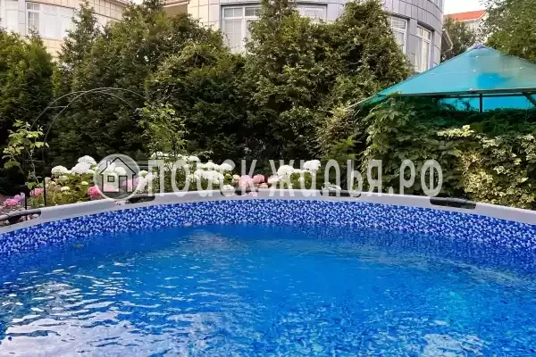 «Лаванда», Ольгинка