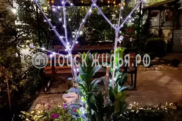 «Лаванда», Ольгинка