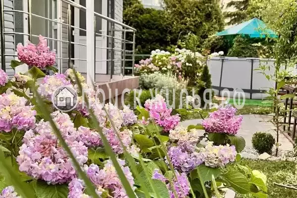 «Лаванда», Ольгинка