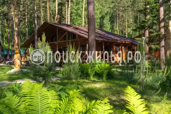 Отель «Алтай Подгорица», Бирюзовая Катунь