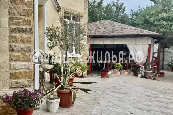 «Шафран», Адлер