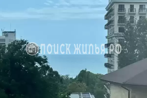 «Шафран», Адлер