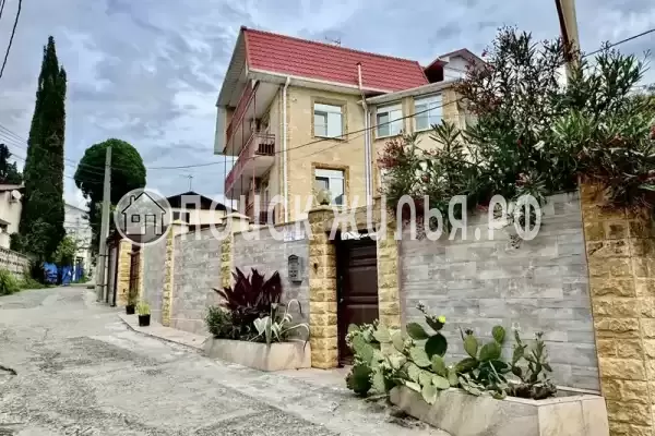 «Шафран», Адлер