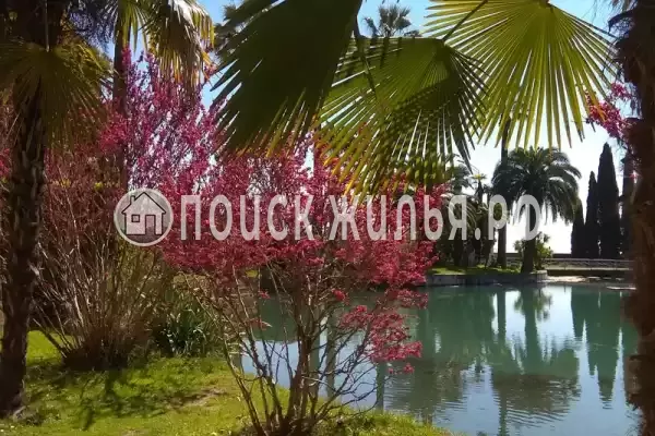 Частный сектор «Частный дом Уютный дом у моря», Новый Афон