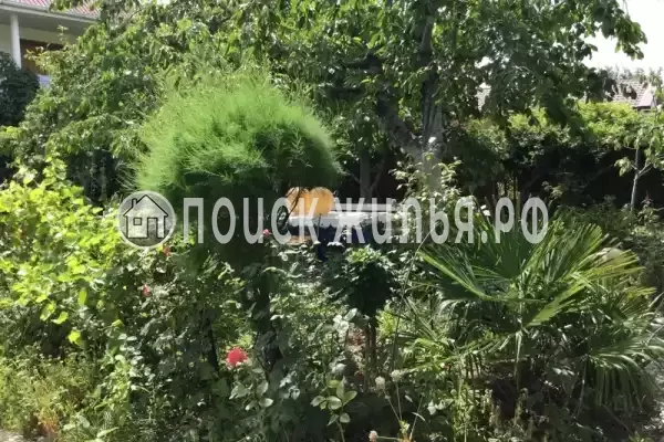 «Green Oasis+», Кабардинка