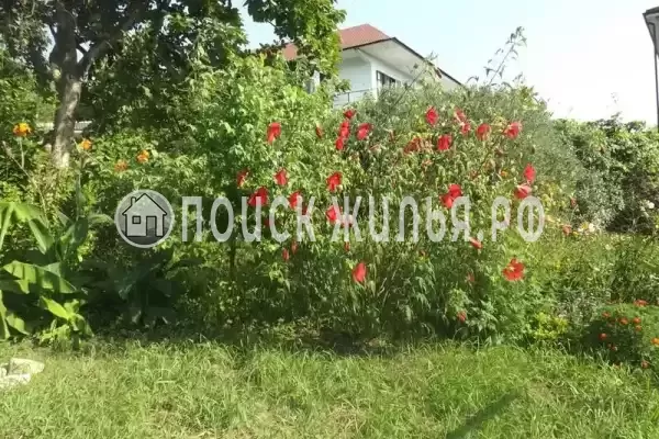 «Стелла», Вардане