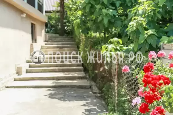 «Стелла», Вардане