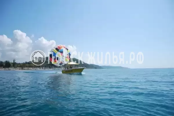 «Стелла», Вардане