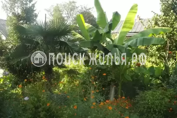 «Стелла», Вардане