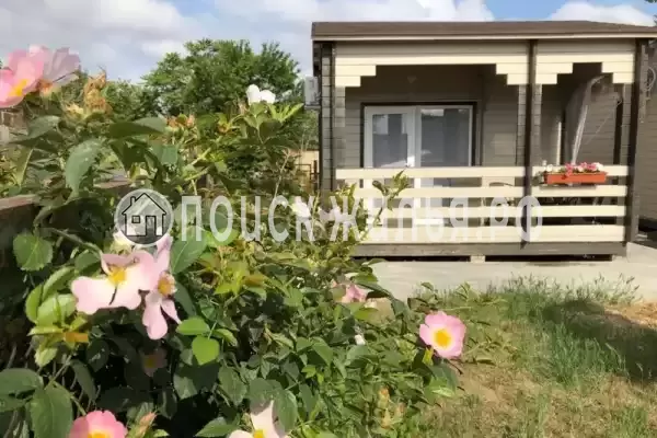 «Южная», Щелкино