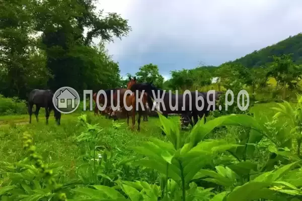 «Эва и Лео», Лоо «Эва и Лео», Лоо