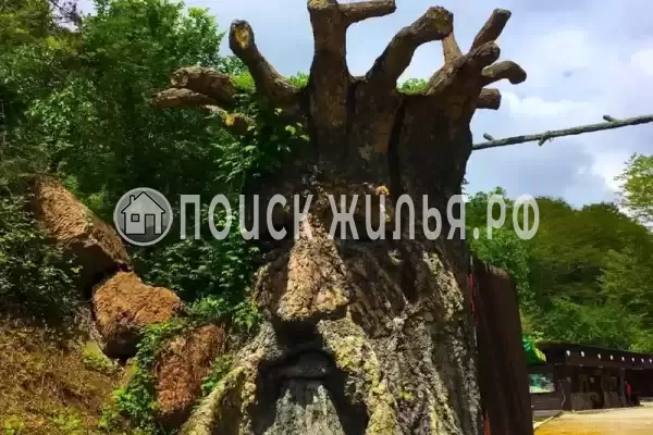 «Эва и Лео», Лоо «Эва и Лео», Лоо