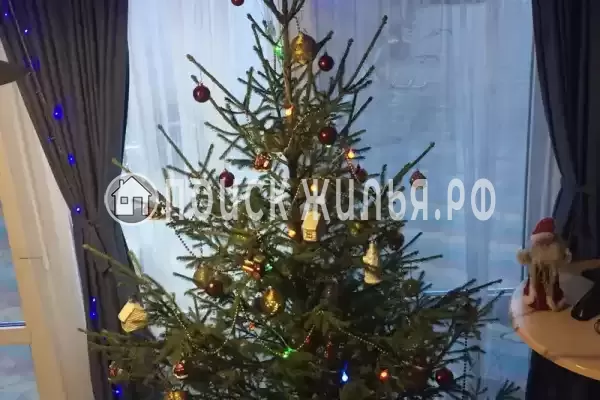 «Наутилус», Ольгинка «Наутилус», Ольгинка