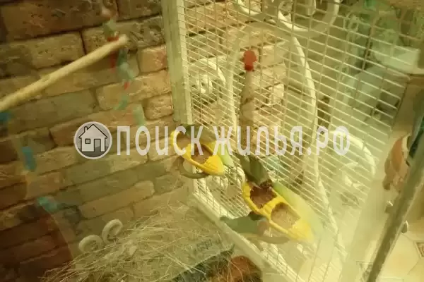 Частный сектор «Комплекс апартаментов Анита - Сочи», Сочи