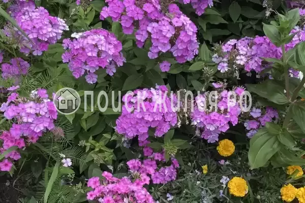 «Альталушта», Алушта «Альталушта», Алушта