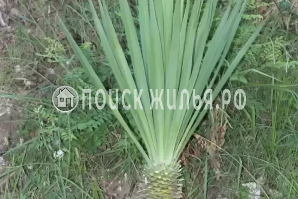 Гостевой дом «У Татьяны», Цандрипш