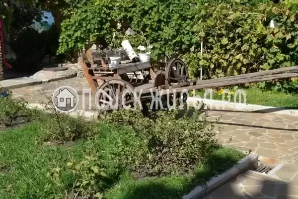 Отель «Аллан», Россошь