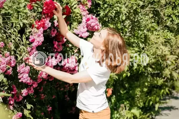 Частный сектор «Уютный дом вблизи моря и гор», Якорная Щель Частный сектор «Уютный дом вблизи моря и гор», Якорная Щель