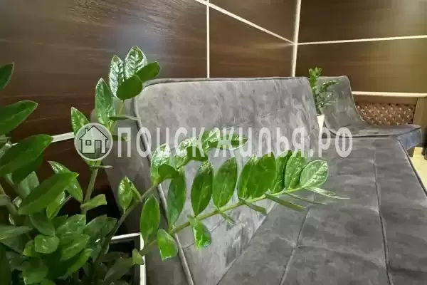 Отель «Оникс», Павловск